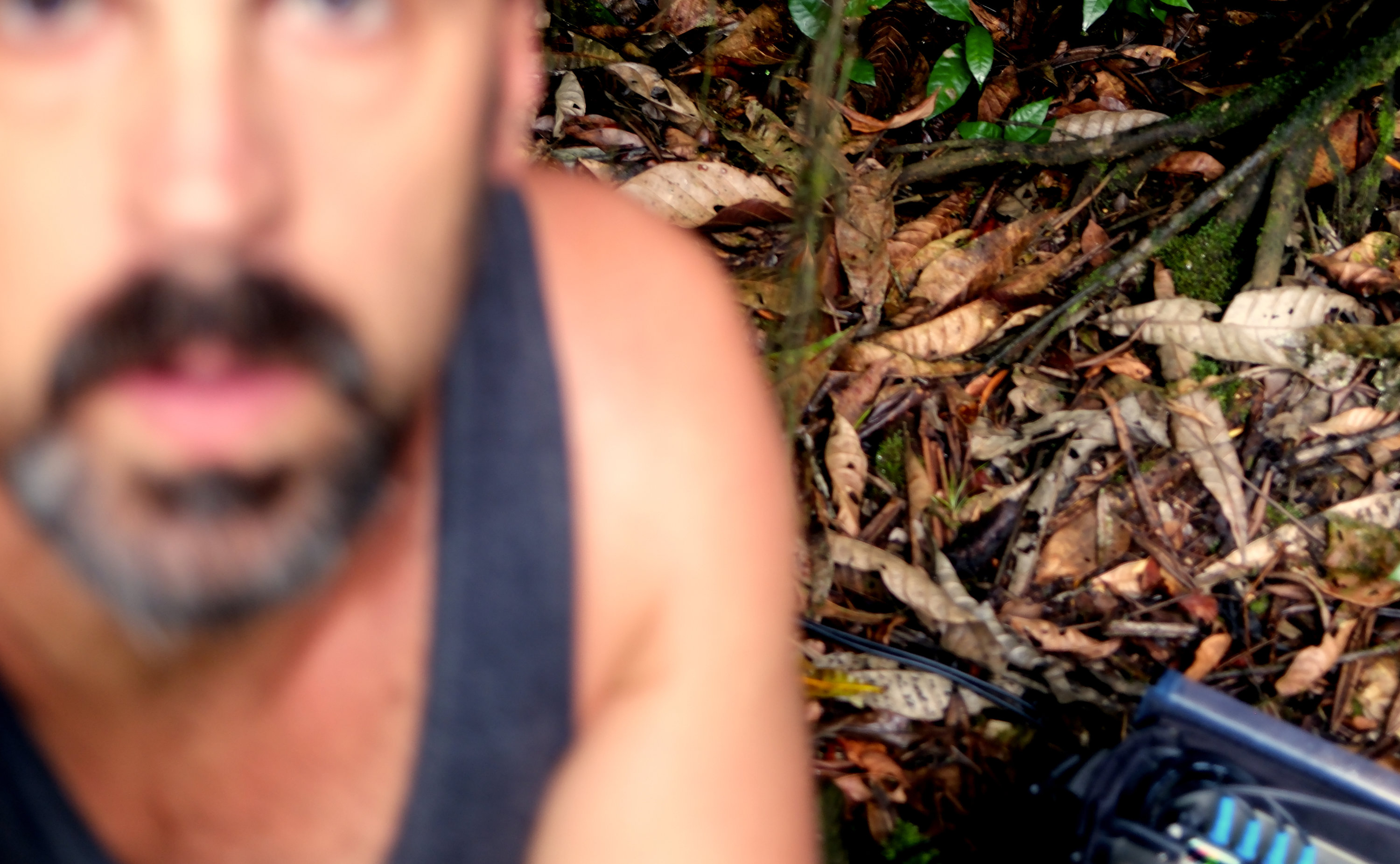 Thomas-Tilly-3-No-Copyright-Resize